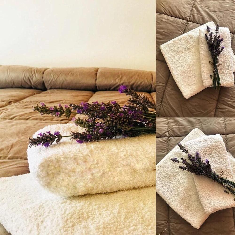 Hotel Losanna Rimini Dış mekan fotoğraf